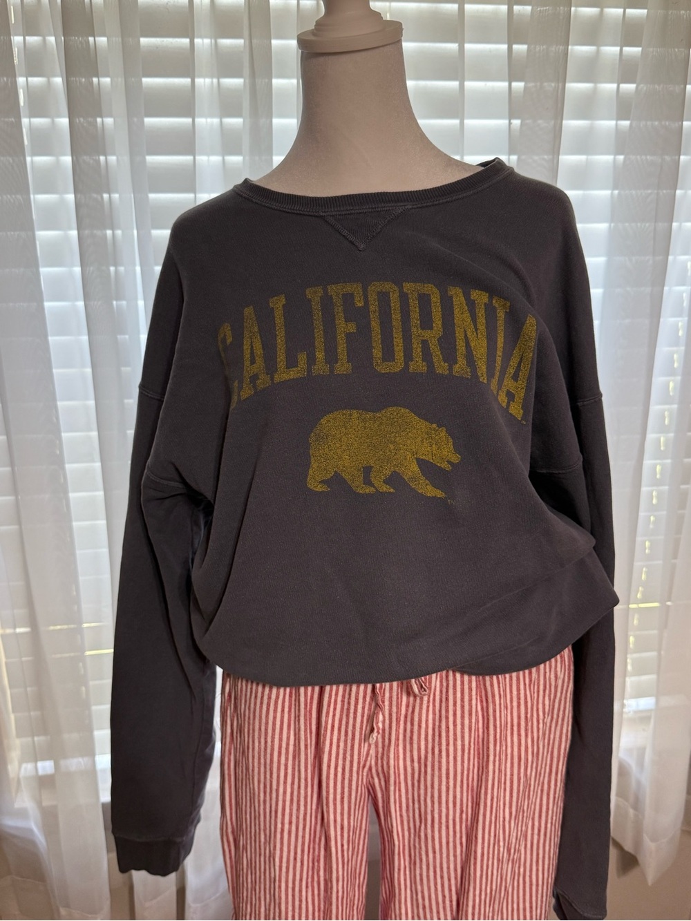 California Bear Graphic Crewneck Sweatshirt - Charcoal with Gold Print